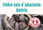 Les noix d'Amazonie de la province de Pando en Bolivie
