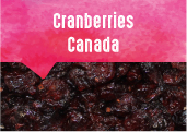 Cranberries des plaines du Saint Laurent au Québec