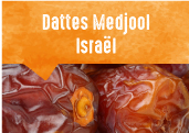 Dattes Medjool de Samar et Neot Semadar dans le sud Israëlien
