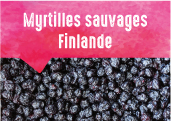 Myrtilles sauvages des forêts de Finlande