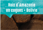 Noix d'Amazonie en coques <br /> des forêts de Cobija en Bolivie