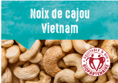 Noix de cajou des provinces de Dong Nai et Binh Phuoc au Vietnam