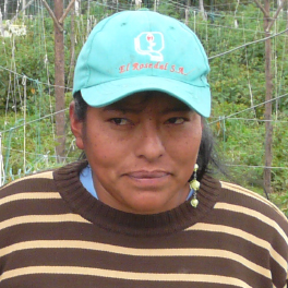 Paola, cultivatrice de physalis en Equateur