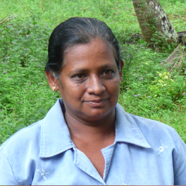 Kumara, cueilleuse de noix de coco au Sri Lanka