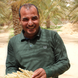Saad, agronome spécialiste de la dattes en Tunisie.