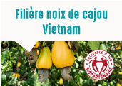 Les noix de cajou des provinces Dong Nai et Binh Phuoc au Vietnam