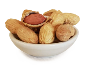 Arachides du désert égyptien
