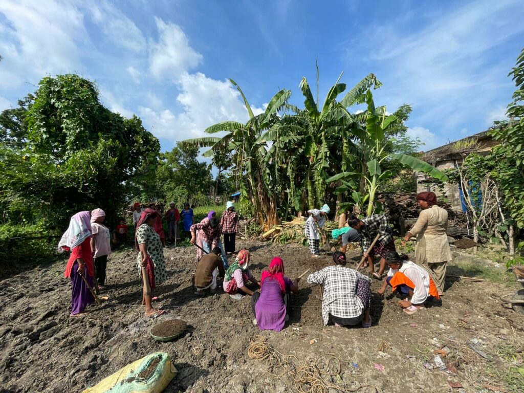 Programme de sécurité alimentaire mené par l'association Karuna Shechen au Népal