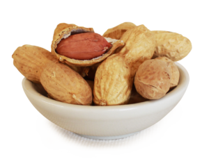 Arachides du désert égyptien