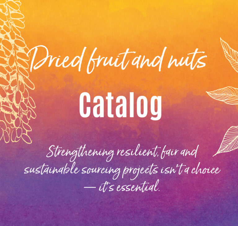 PÉPITE 2025-2026 Catalogue