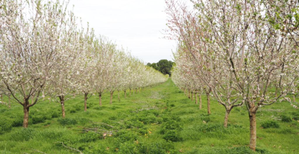 agroécologie, agriculture regenerative