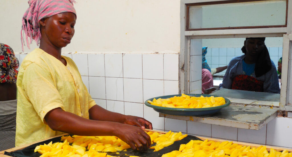 Productrice de mangue au Burkina Faso